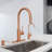 Pull Down Kitchen Faucet with Single Handle and Deck Plate-70944585