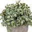 Potted Plant Ceramic Scratch Pots Sage