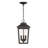 Irvington Manor - 3 Light Chain Hung Lantern-1097399256