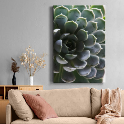 Zen Succulent I - reproduction de photo sur toile tendue