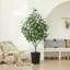 Ficus artificiel George, verdure artificielle protégée contre les rayons UV avec une énorme base décorative pour l'intérieur et l'extérieur-2074738011-2074737957