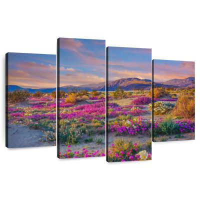 Anza Borrego Wildflowers