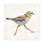 Art sur toile Jeanette Vertentes «Coastal Plover I»-1625896834