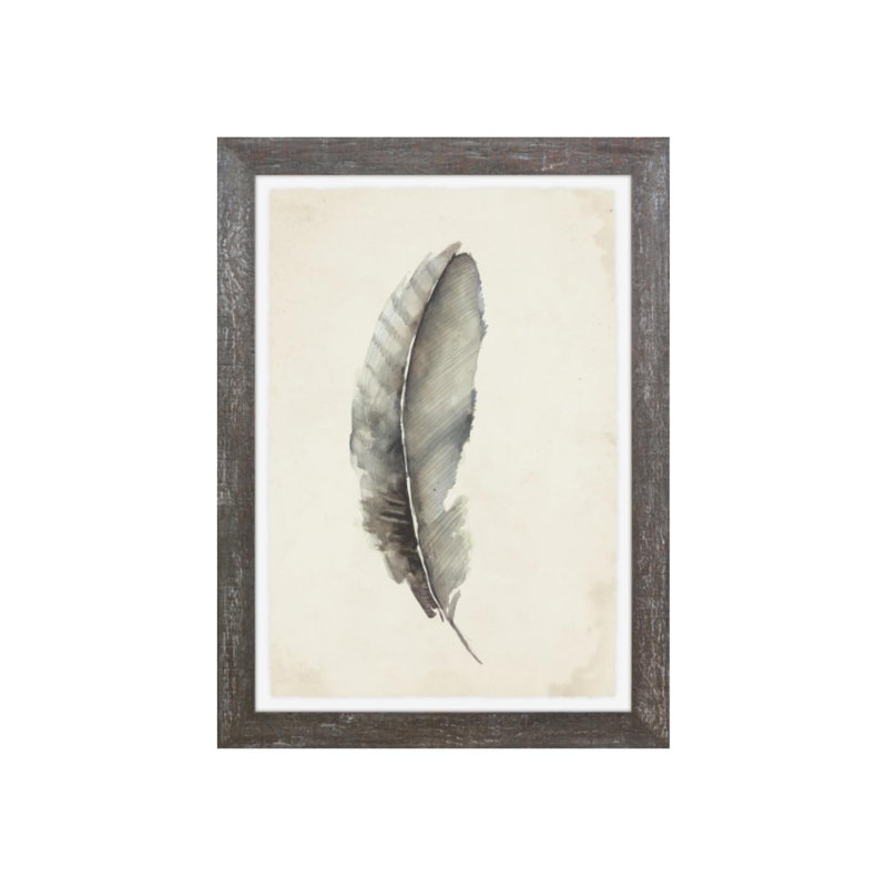 Charcoal Feathers III Print by Beverly Fuller, Matte, 27" H x 20" W