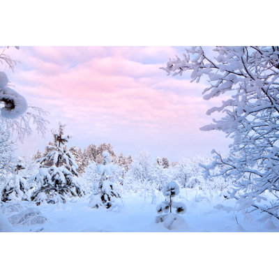 Paysage d'hiver - photographie sur toile tendue