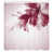 Dark Fuchsia is out of stock