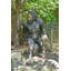 Sasquatch