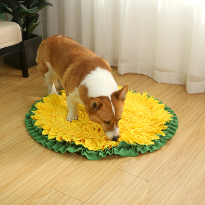 Tapis pour chien