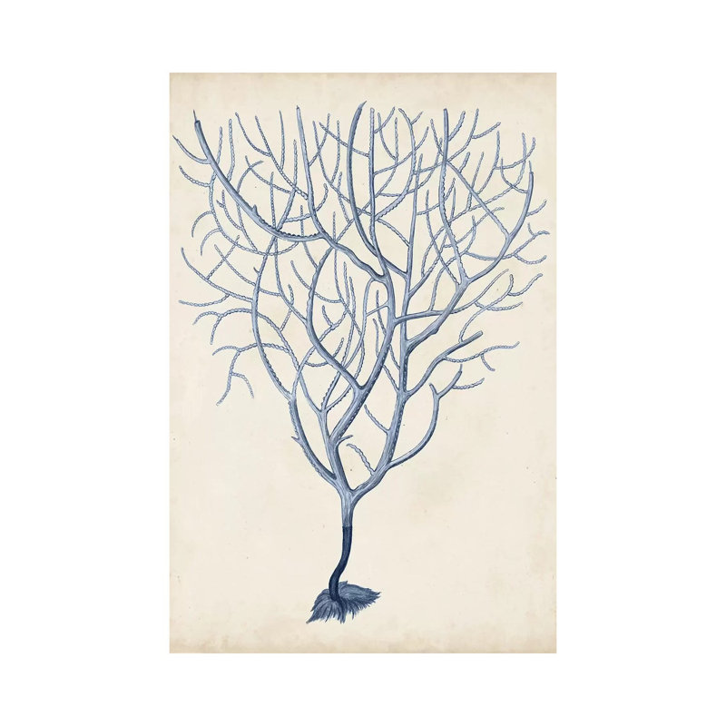 Indigo Coral III by Vision Studio - Wrapped Canvas Print, 101.6 cm H x 66.04 cm W x 1.91 cm D