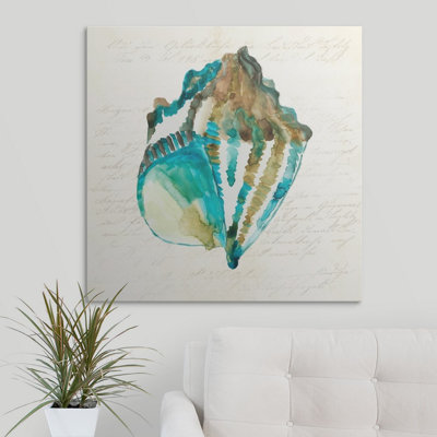 " Shell " by Aimee Wilson