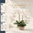 Silk Daisy Arrangement - Artificial Flower Decor-1559721520