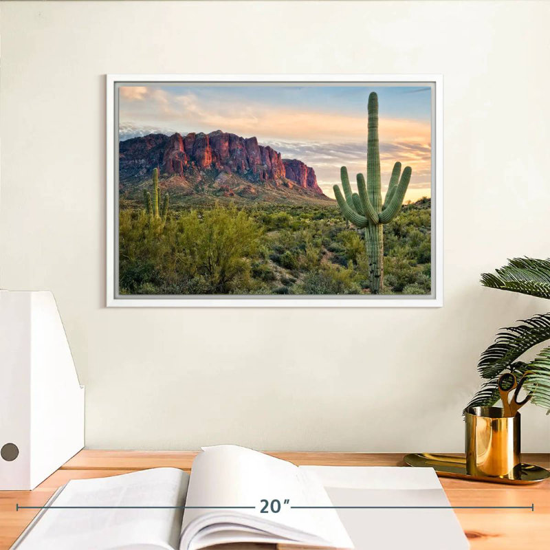 Cactus View II, Cadre flottant blanc, 13 po x 9 po