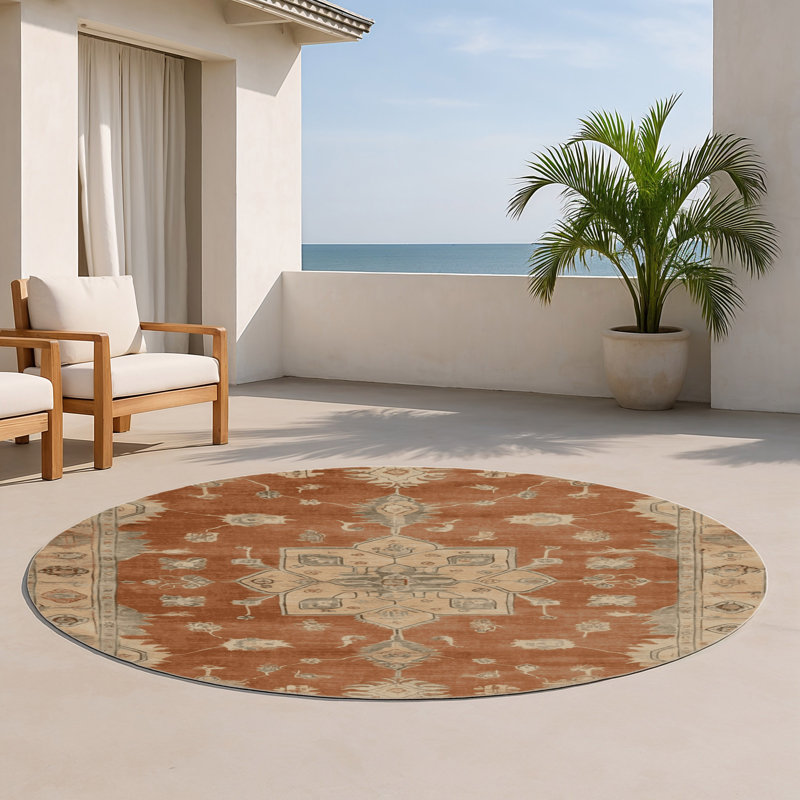 Tapis intérieur et extérieur brun Overdyed, Rond 5 pi