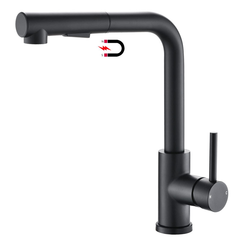 Belfry Kitchen Brooklana Kitchen Faucet, Matte Black