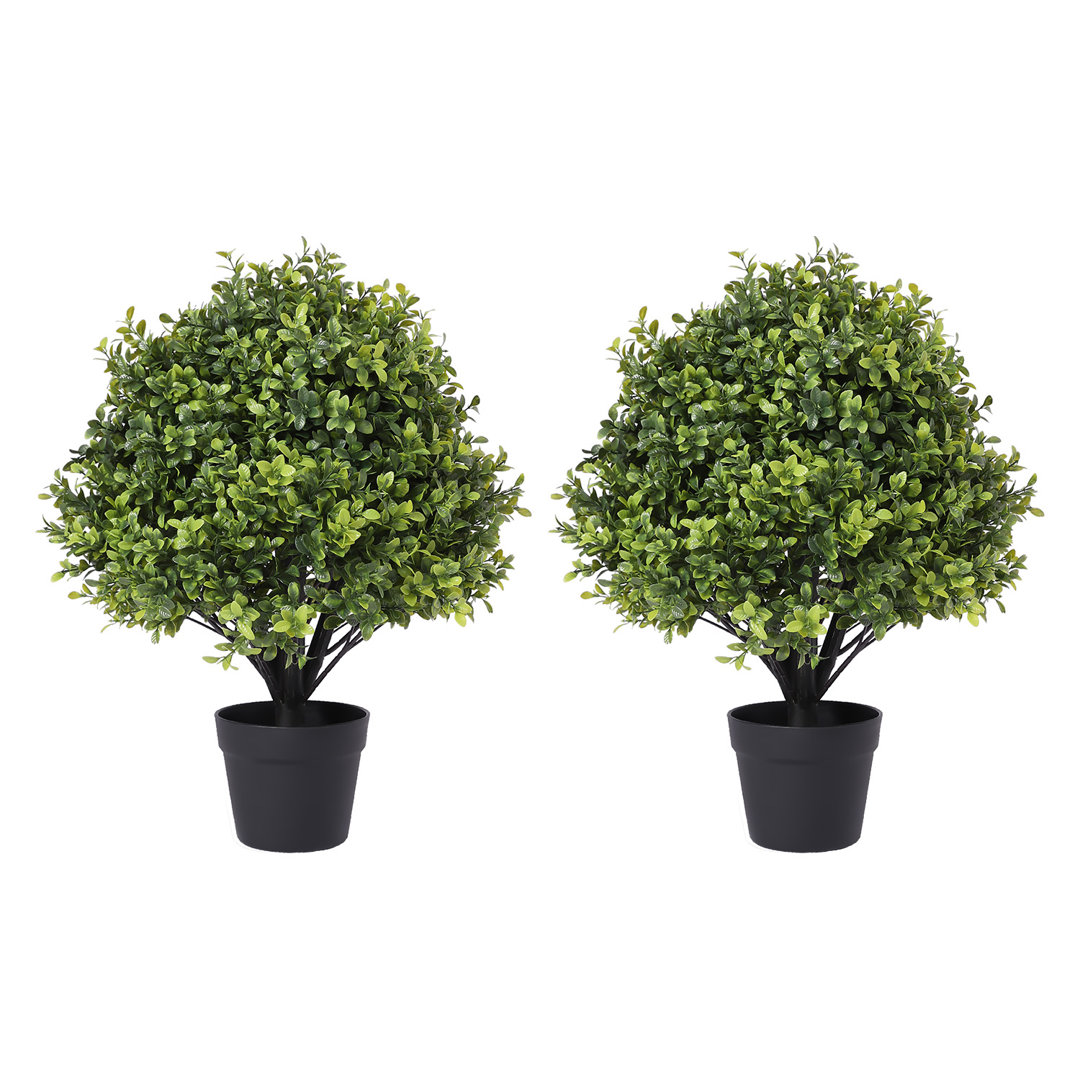 Guttenberg Faux Boxwood Topiary in Pot (Set of 2) Primrue