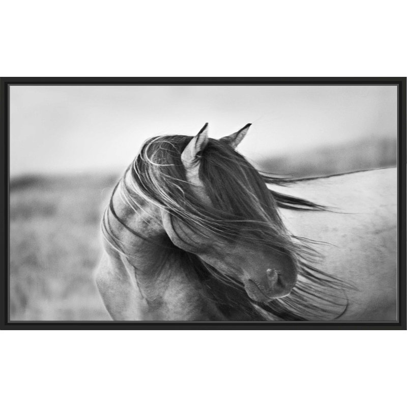 Fierce Grace par - photographie, Cadre flottant noir, H 31,5 po x l 51,5 po x P 2 po