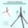 14Inch LED Ring Light With 62Inch Tripod Stand, 20W Brightness Adjustable Selfie Light With Phone & Tablet Holder, Wireless Remote For Live Streaming, Tiktok, Makeup, Video Recording