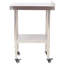 Table de préparation en acier inoxydable - 24 po x 15 po x 35,5 po, capacité de charge de 440 lb (dessus 330 lb / tablette inférieure 110 lb)