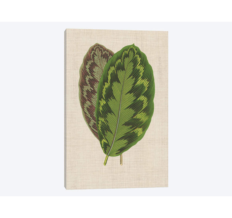 « leaves on linen iv », reproduction d’impression sur toile, H 18 po x l 12 po x P 1,5 po, Toile tendue