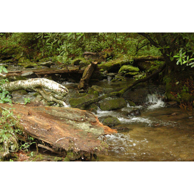 Landscape & Nature Non-Wall Damaging Wall Decal