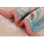 Jeté lourd en peluche-753412982-753505395-753505394