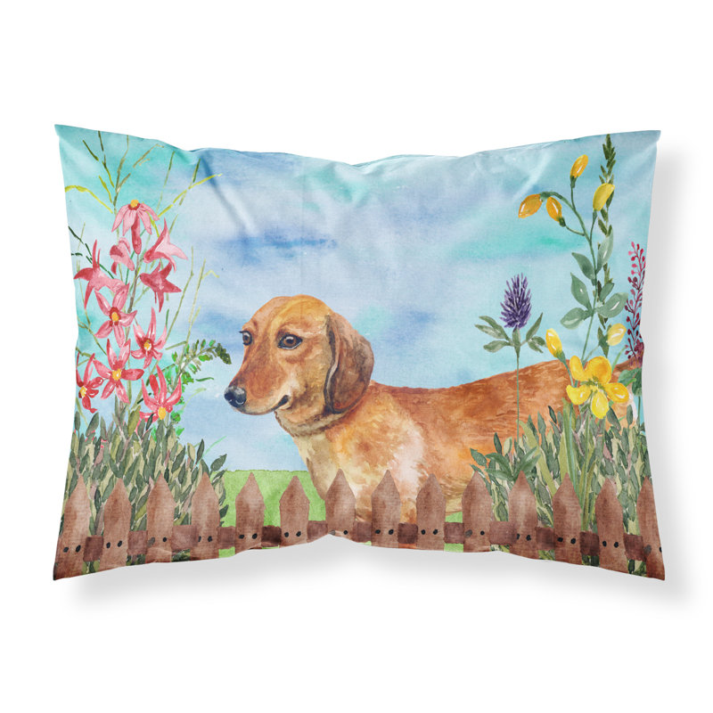 Alaskan Microfiber, Dachshund