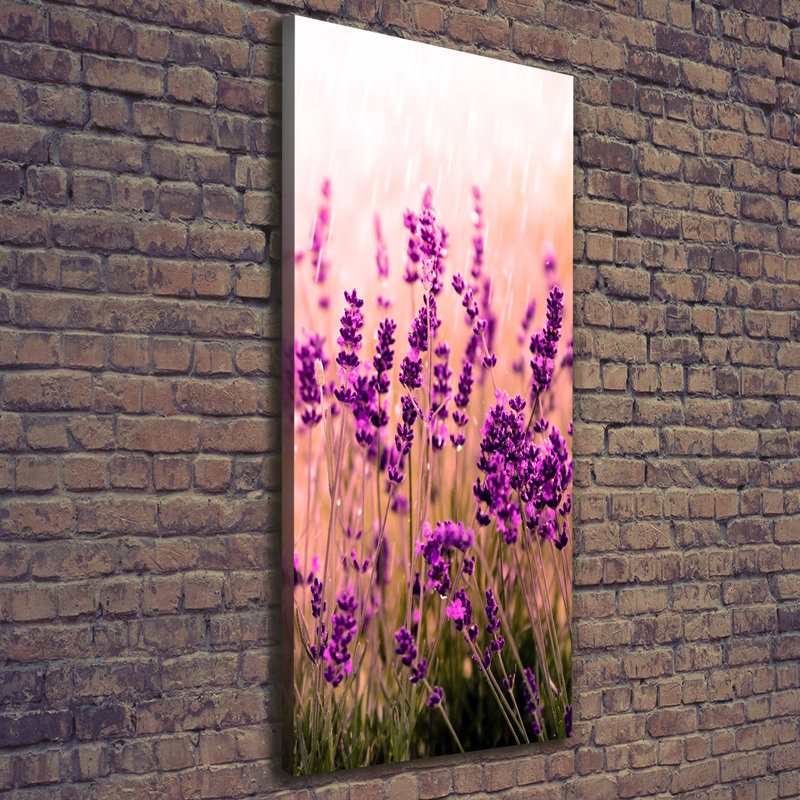 Lavender Field - Wrapped Canvas Print