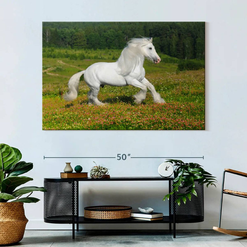 Shire Horse In The Meadow