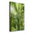 The Rainforest - Wrapped Canvas Print