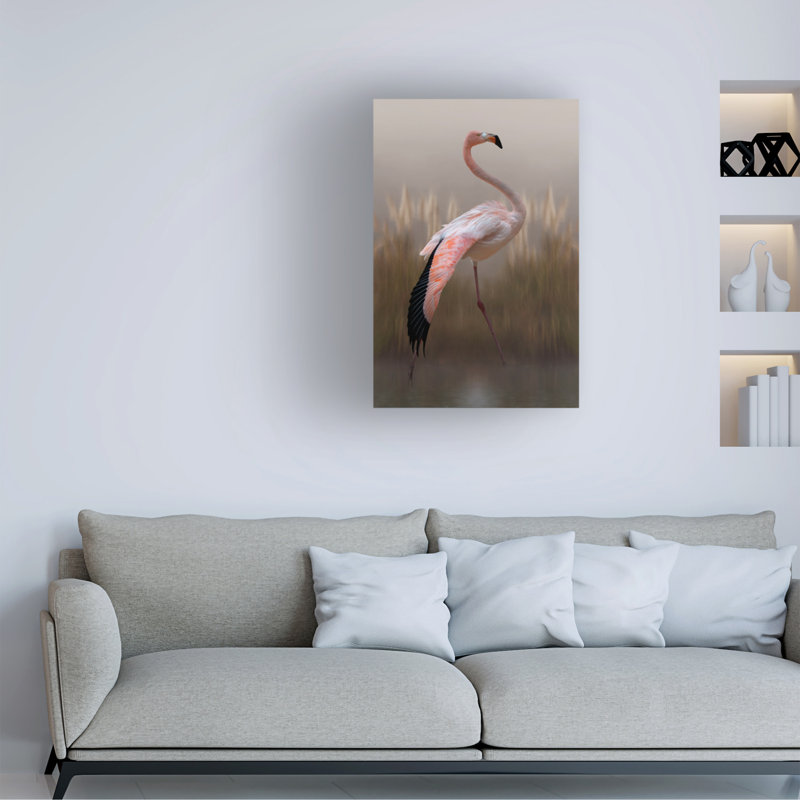 Modern & Contemporary, 47" H x 30" W x 2" D