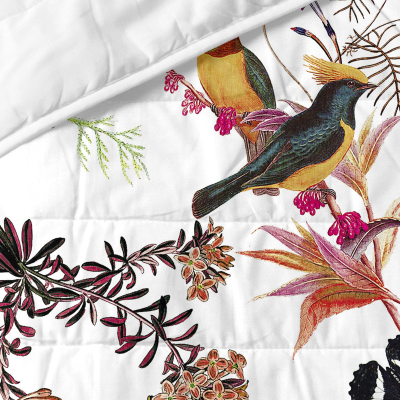 Carrollton Cotton No Pattern Bedspread, W250 x L260cm