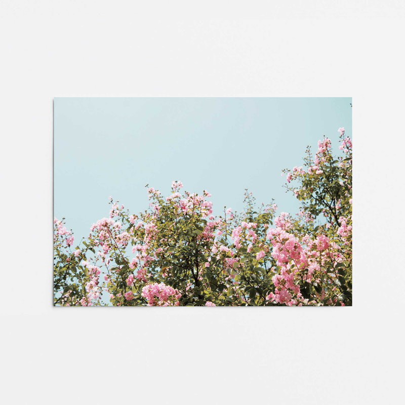 «Blossoming Canopy Print», dans un cadre, Papier, H 18 po x l 24 po x P 0,1 po
