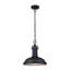 Luminaire suspendu d'extérieur noir à 1 lumière H 12,25 po Harriet