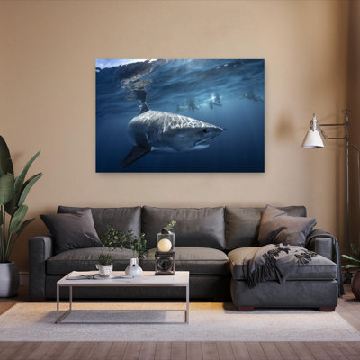 Grand requin blanc ensoleillé, abstrait, requin contemporain, océan, impression sur toile