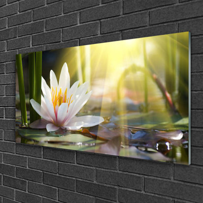 Glass Print Wall Art 100X50cm Image Printed On Glass Decorative Wall Picture Behind Toughened / Tempered Safety Real Glass For Kitchen & Living Room Theme: Flowers Water Floral