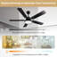 Ceiling Fan with LED Lights-350266710