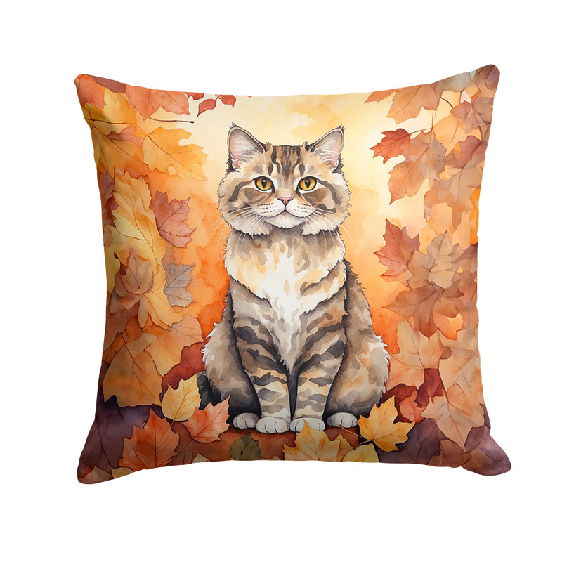Coussin Selkirk Rex, Carré 14 po