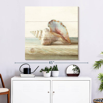 Aletra Driftwood Shell IV