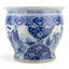 Fishbowl with Immortals Scene
