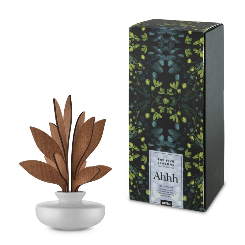 The Five Seasons Reed Diffusers And Sticks