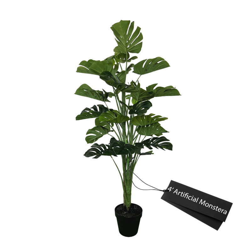 Plante artificielle Monstera artificielle de 4 po faite à la main Cypress & Alabaster