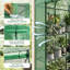 Serre de plain-pied d'extérieur avec moustiquaire à 3 niveaux avec support en PE et structure en eucalyptus pour le jardin