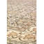 Chateau Oriental Area Rug in Brown-1667717576