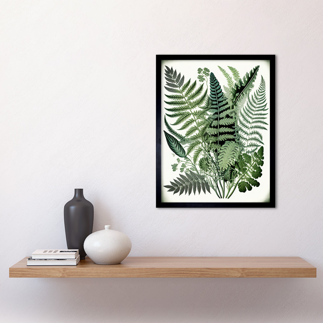 Haeckel Style Fern Fronds Watercolour Illustration - Single Picture Frame Print