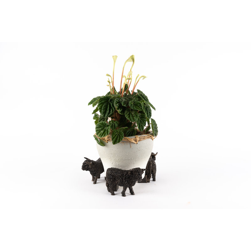 Remi Weather Resistant Planter Feet