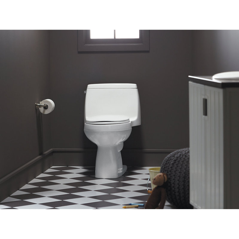 Santa Rosa™ 1.28 GPF Water Efficient Elongated One-Piece Toilet, Ice Gray
