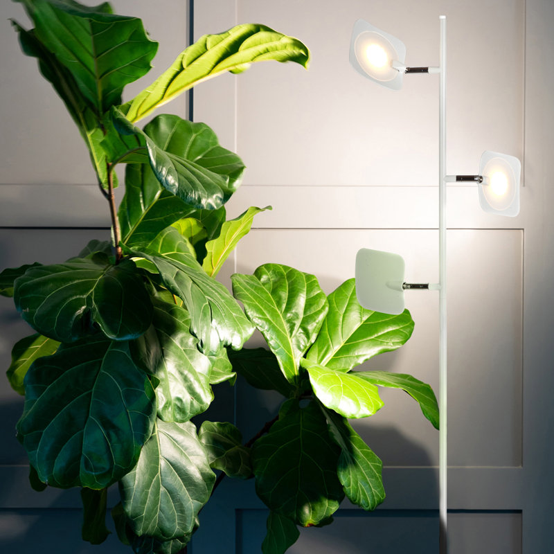 White Adjustable Multi-Head LED Floor Lamp with Dimmer