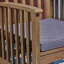 Ensemble de 2 chaises d'extérieur avec coussins pour l'extérieur-441886693-437620671