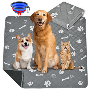 Super Absorbent Washable Pee Pads for Dogs Large 35 x 31 (2-Pack) Puppy  Pads pet Training Pads Reusable Pee Pads for Dogs 100% Waterproof Dog Puppy