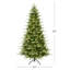 Le sapin Carrington pré-éclairé 7,5 pi The Holiday Aisle®